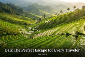 Bali: The Perfect Escape for Every Traveler